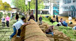 Joint Centre for Urban Design (JCUD)